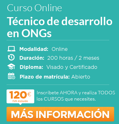Curso "Técnico de desarrollo en ong" online
